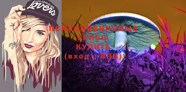 бутират Вязники